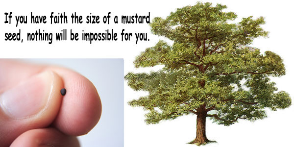 If you have faith the size of a mustard seed, nothing will be imposable for you.